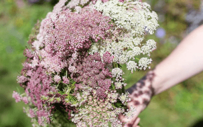 What’s In Bloom: July 2023
